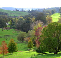 Golden Valley Tree Park - Goulburn Accommodation