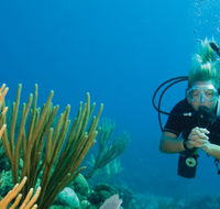 Coastal Water Dive - Goulburn Accommodation