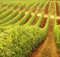 Cullen Wines - Goulburn Accommodation