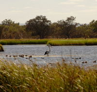 Anytime Adventures in Mandurah  the Peel Region - Goulburn Accommodation