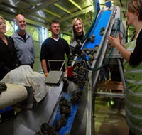 Eyre Peninsula's Seafood Trail - Goulburn Accommodation
