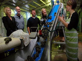 Eyre Peninsula's Seafood Trail - Goulburn Accommodation 0