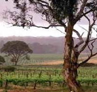 Yangarra Estate Vineyard - Goulburn Accommodation