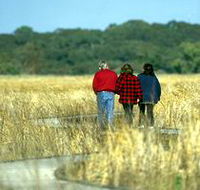 Onkaparinga River Recreation Park - Goulburn Accommodation