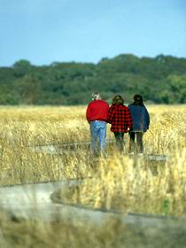 Onkaparinga River Recreation Park - Goulburn Accommodation 0