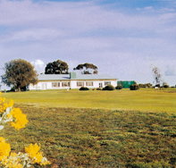 Lucindale Country Club - Goulburn Accommodation