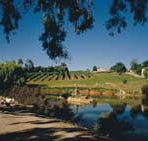 Mount Hurtle Winery home of Geoff Merrill Wines - Goulburn Accommodation