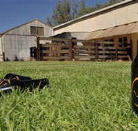 Wilkadene Woolshed Brewery - Goulburn Accommodation