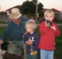 Orrie Cowie Merino and Poll Merino Stud - Goulburn Accommodation