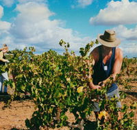 Torbreck Vintners - Goulburn Accommodation