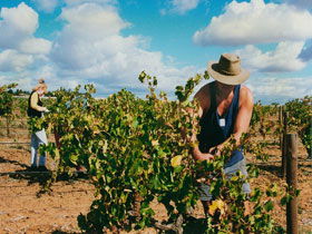 Torbreck Vintners - Goulburn Accommodation 0