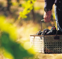 Burge Family Winemakers - Goulburn Accommodation