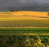 Kellermeister Wines - Goulburn Accommodation