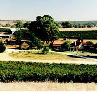 Irvine Wines - Goulburn Accommodation