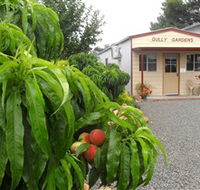 Gully Gardens - Goulburn Accommodation