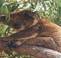 Mikkira Station - Goulburn Accommodation