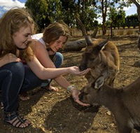 Kangaroo Island Wildlife Park - Goulburn Accommodation
