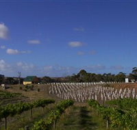 Deep Creek Wines and Alpacas - Goulburn Accommodation