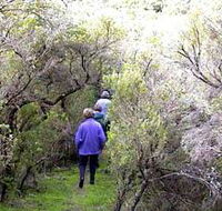 Jack And Hilda McArthur Walk - Goulburn Accommodation