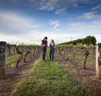 Coonawarra Wineries Walking Trail - Goulburn Accommodation