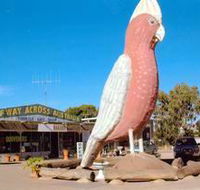 The Big Galah - Goulburn Accommodation