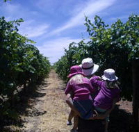 McLaren Vale Orchards - Goulburn Accommodation