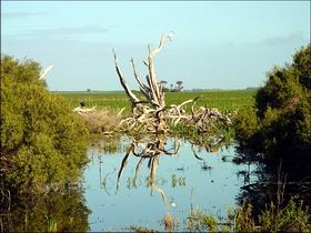  Goulburn Accommodation