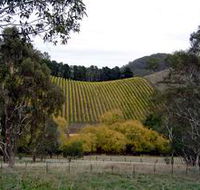 Mt Bera Vineyards - Goulburn Accommodation