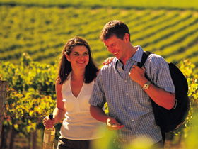 Shakespeare Avenue Pty Ltd - Goulburn Accommodation 0