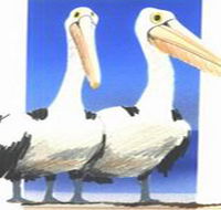 Bay of Shoals Wines - Goulburn Accommodation