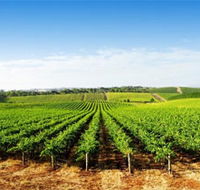 Aldinga Bay Winery - Goulburn Accommodation