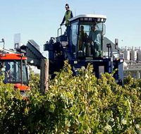 Ballast Stone Estate Wines Pty Ltd - Goulburn Accommodation