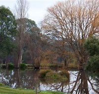 Gemtree Wetlands Ecotrail - Goulburn Accommodation