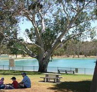 Naracoorte Nature Park and Swimming Lake - Goulburn Accommodation