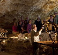 Naracoorte Caves National Park - Goulburn Accommodation
