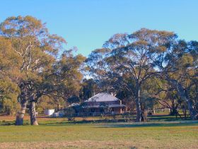 Old Wilpena Station - Goulburn Accommodation 0