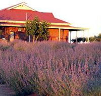 Bella Lavender Estate - Goulburn Accommodation