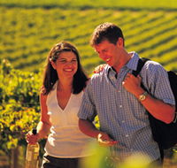 Lady Bay Vineyard - Goulburn Accommodation