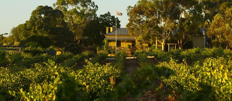 Greenock Creek Wines - Goulburn Accommodation 2