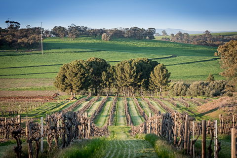 Heritage Wines - Goulburn Accommodation 1