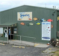 Stanley Seaquarium - Goulburn Accommodation