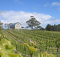Bruny Island Premium Wines Bar and Grill - Goulburn Accommodation