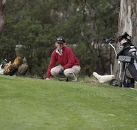 Tasmania Golf Club - The - Goulburn Accommodation