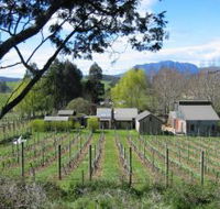 Wilmot Hills Vineyard - Goulburn Accommodation