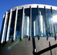 Moo Brew - Goulburn Accommodation