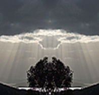 aart. Gallery of Fine Art - Goulburn Accommodation