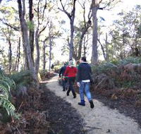 Bridport Walking Track - Goulburn Accommodation