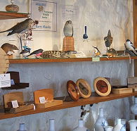 Touchwood Craft Gallery Gifts and Cafe - Goulburn Accommodation