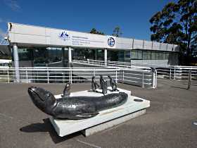 Australia's Antarctic Headquarters - Goulburn Accommodation 0