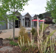 Tin Dragon Interpretation Centre and Cafe - Goulburn Accommodation